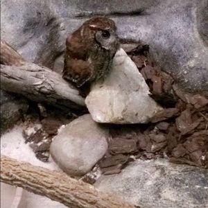 Meet your Posher, Abdullah